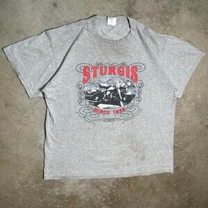 Vintage Y2K 2002 Sturgis South Dakota Biker Tee Mens Large AOP Style Gray Shirt